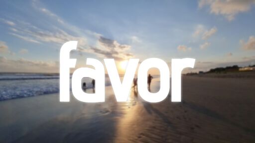 Cover Favor.jpg