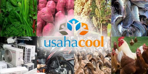 Logo usahacool.jpg