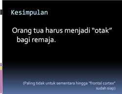 Otak 5.png