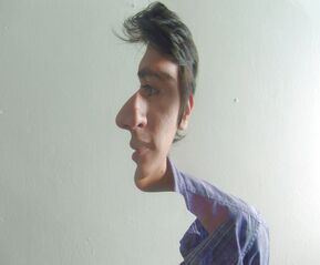 Berkas:FFB-5-Paradigm-1.jpg