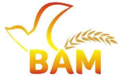 Berkas:Logo BAM.png