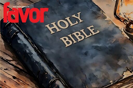 Cover Favor 2025-11-30.jpg