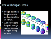 Otak 1.png